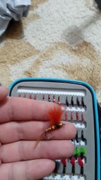 Kalastus perhoja/vieheitä 184kpl